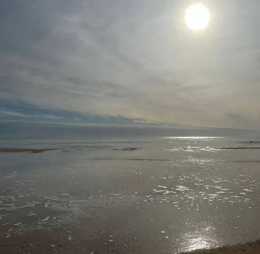 At Da Rocha! 波尔蒂芒